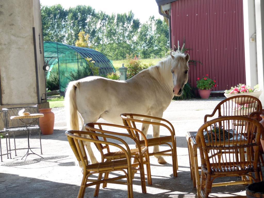 Bed And Breakfast Azienda Agricola Cascina Salazzara Маджента Екстериор снимка